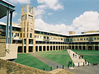 Students on quad lawn