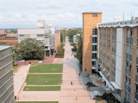 view down walkway