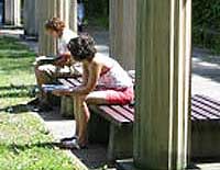 Students on quad lawn