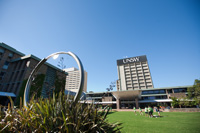 Library Lawn