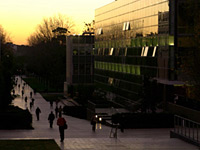 Kensington campus main walkway
