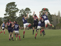  People playing kickball. 