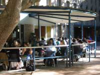 Students on quad lawn