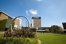  Library lawn