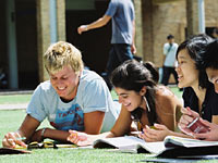 students studying on lawn