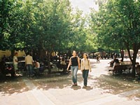 Student walking across a courtyard