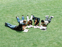 students studying on lawn