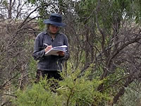 vegetation survey