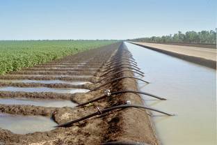  irrigation