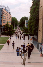 university mall